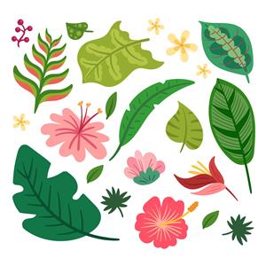 矢量动植物-热带花卉和叶子免费矢量